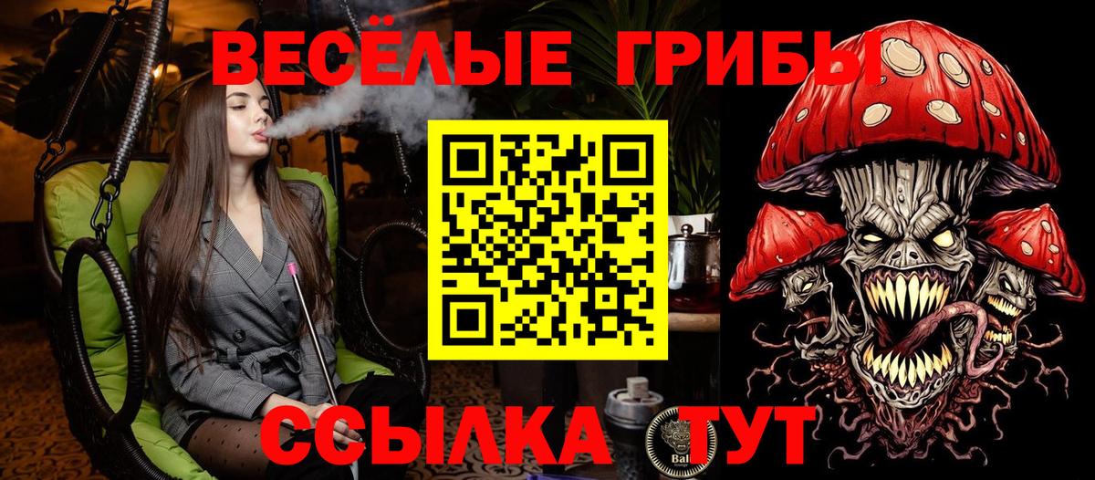 Псилоцибиновые грибы ЛСД Боровичи