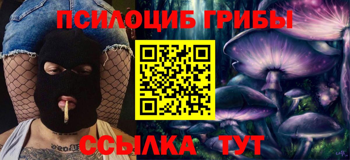 Боровичи  Галлюциногенные грибы Magic Shrooms  Вход с VPN  цена   Галлюциногенные грибы прущие грибы 